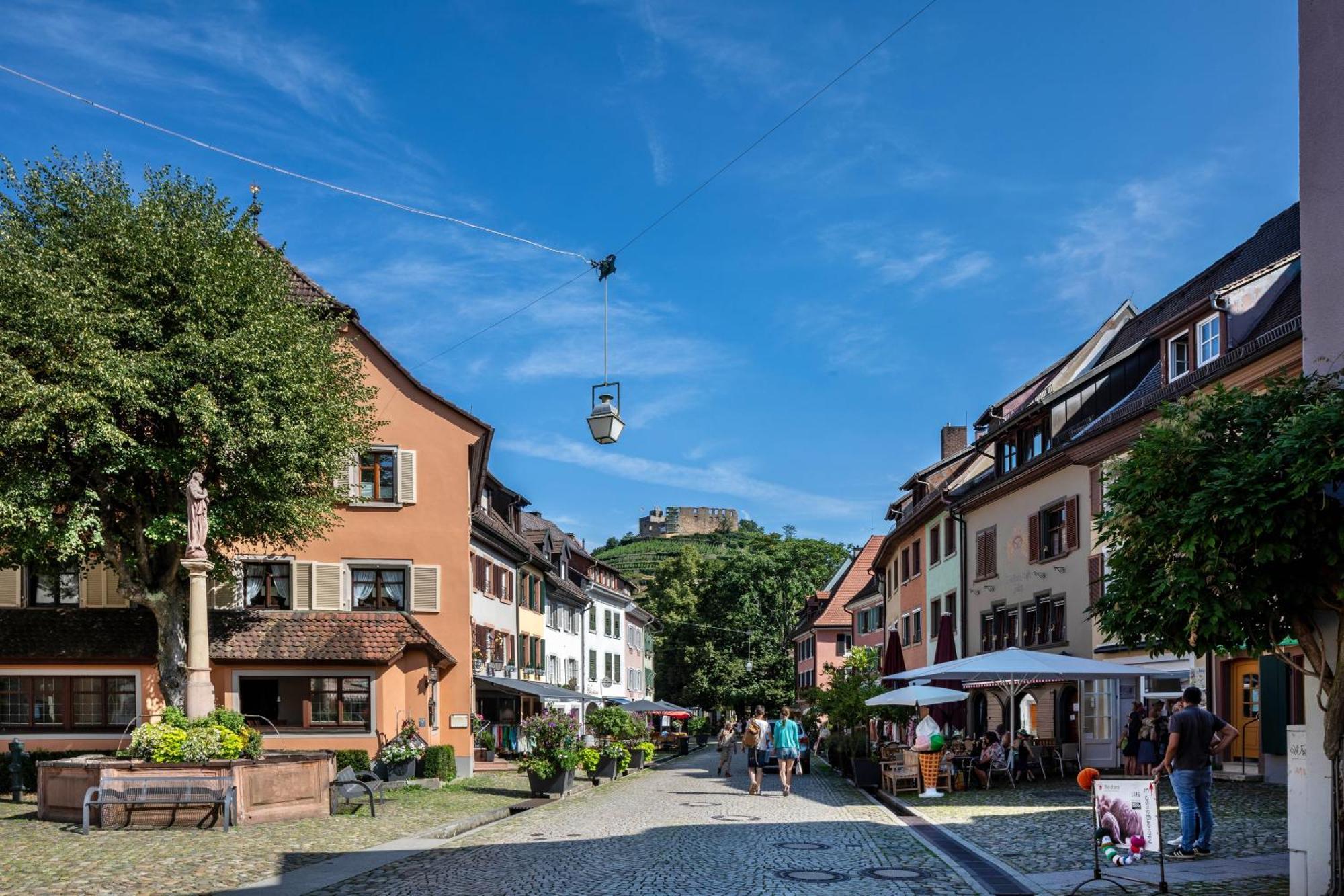 Ferienwohnung Am Neumagen Staufen im Breisgau Eksteriør billede
